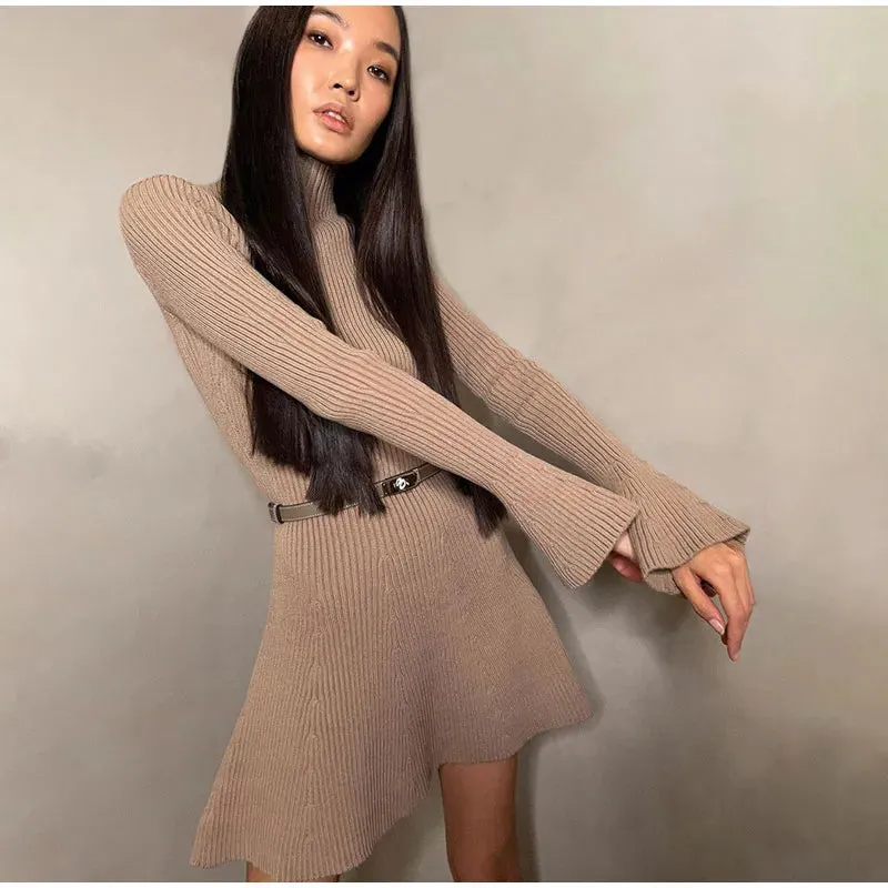 Blissful Bulwark A-Line Sweater Dress