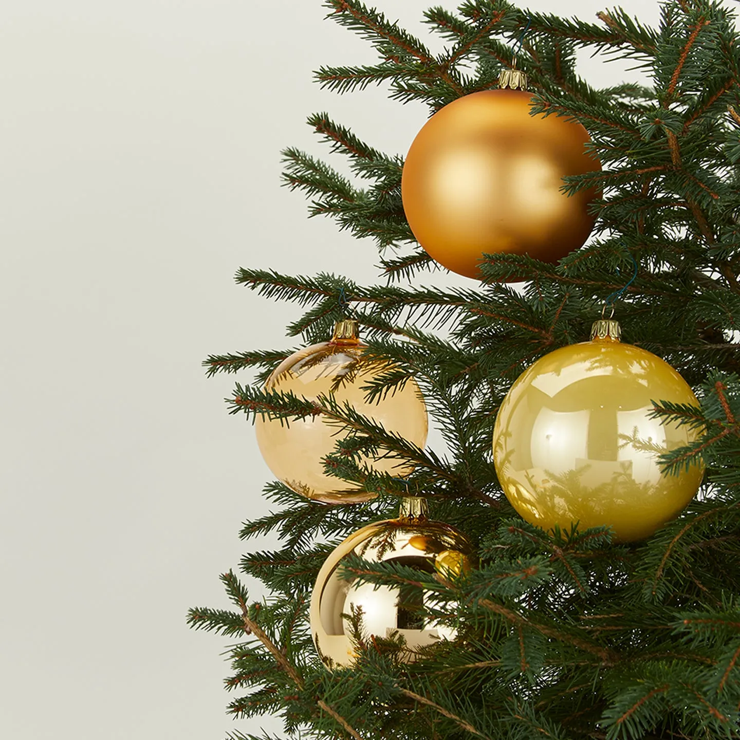 Tree Bundle - Gold