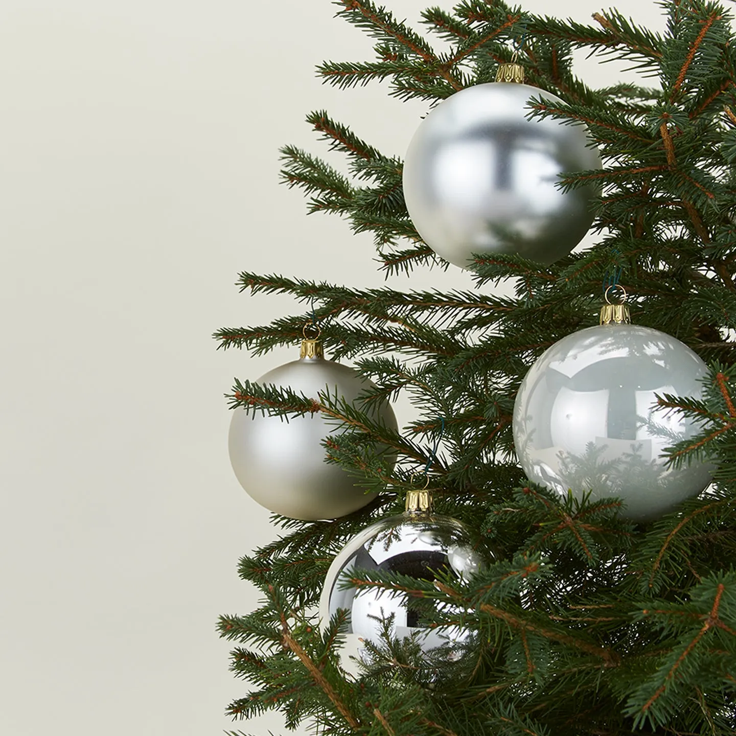 Tree Bundle - Silver